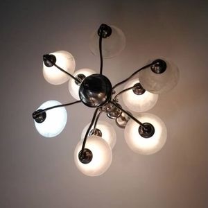 Meet your Posher, Rosie